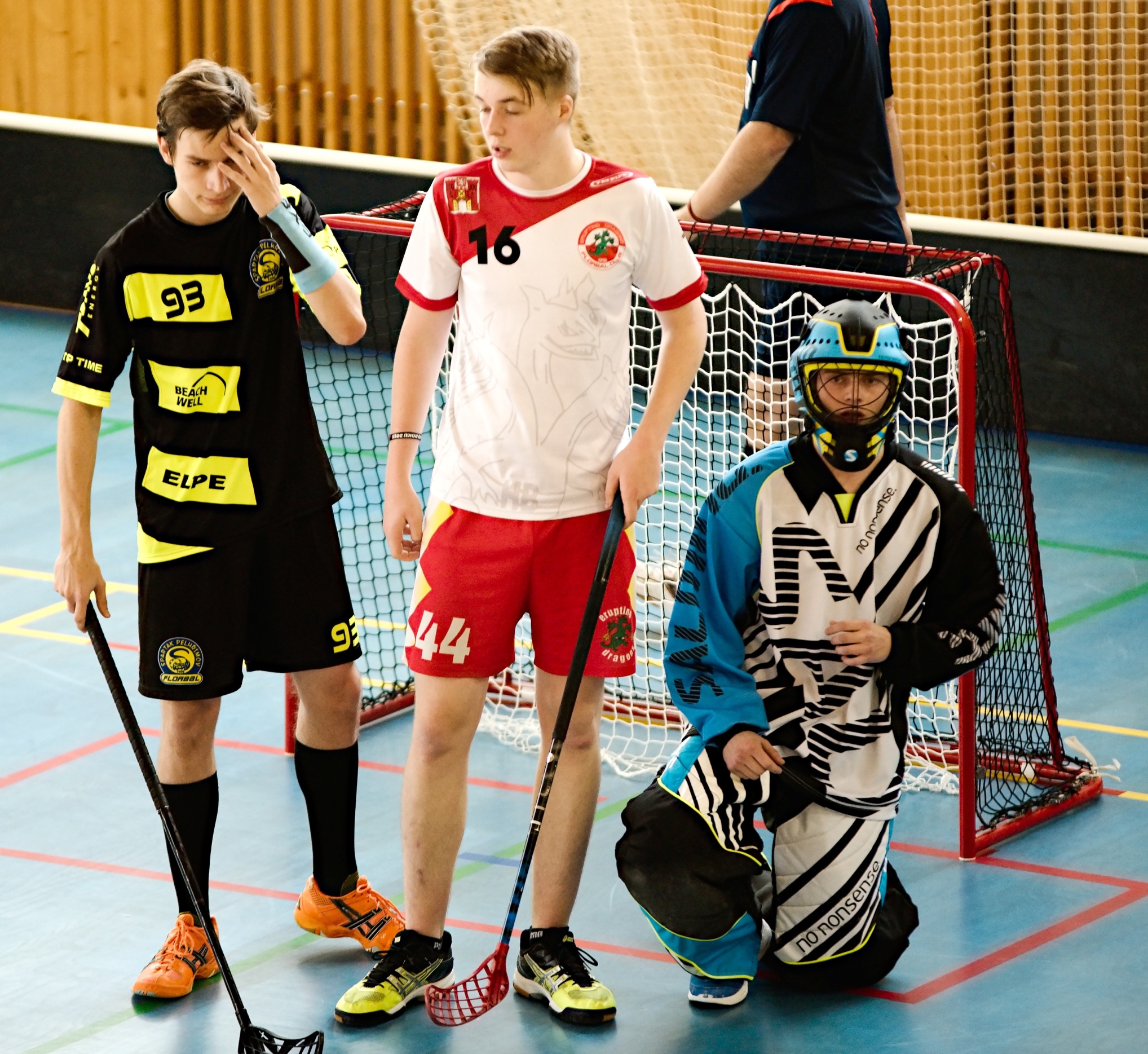 JunciLedec241015 022